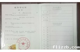 世界杯视频直播在线观看税务证